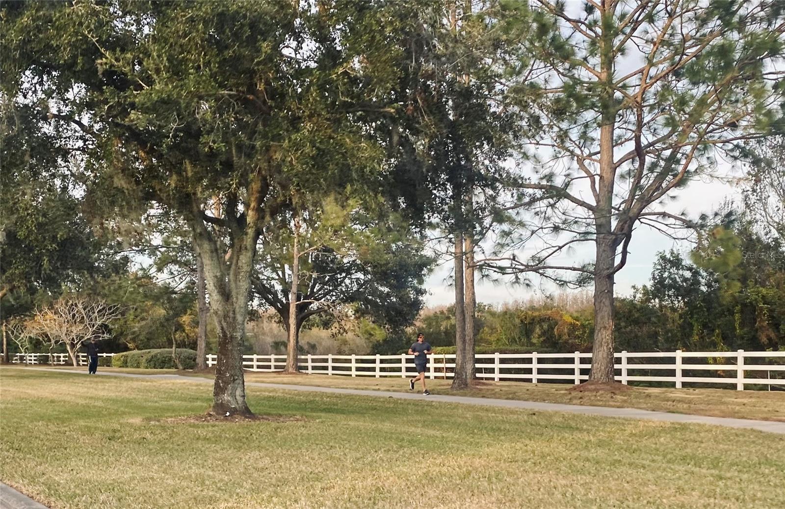 19680 SHADY OAK DR, LAND O LAKES, FL, 34638
