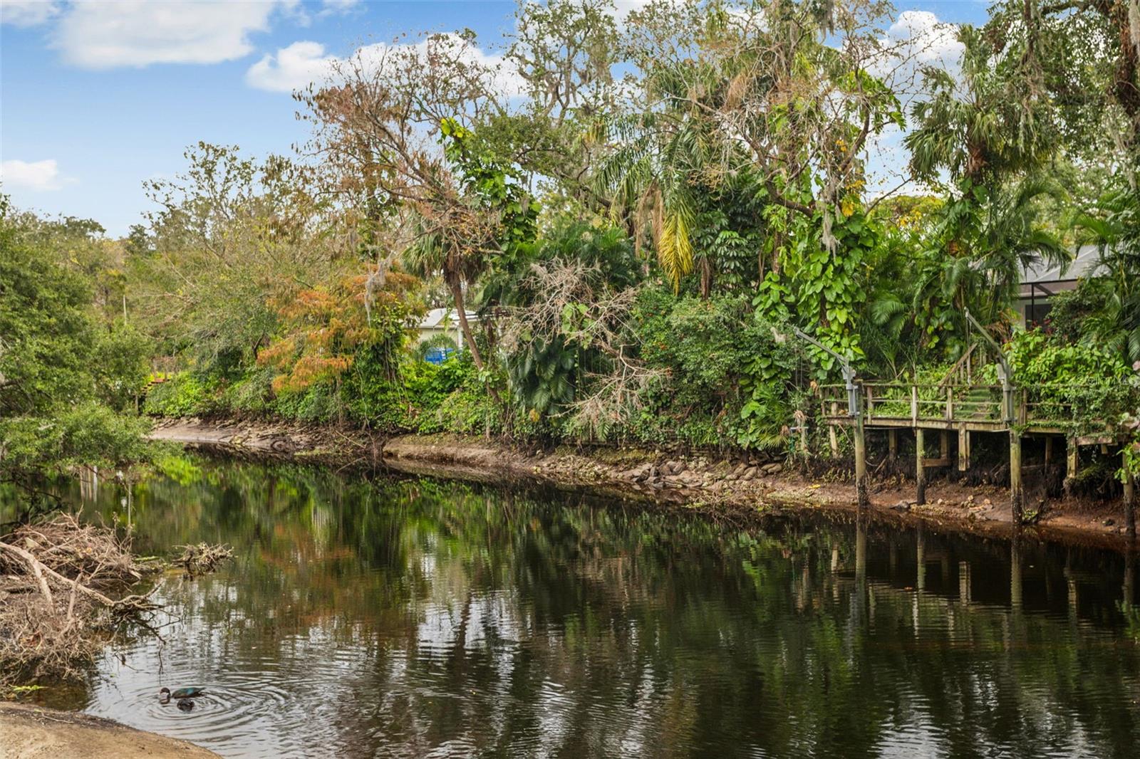 1733 E MULBERRY DR, TAMPA, FL, 33604
