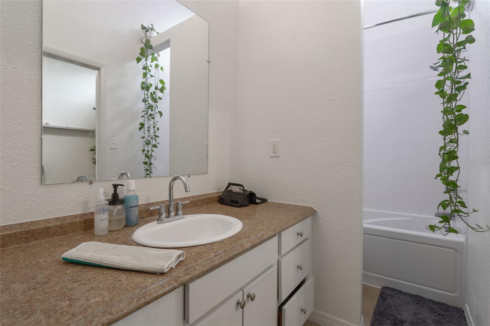 1733 E MULBERRY DR, TAMPA, FL, 33604