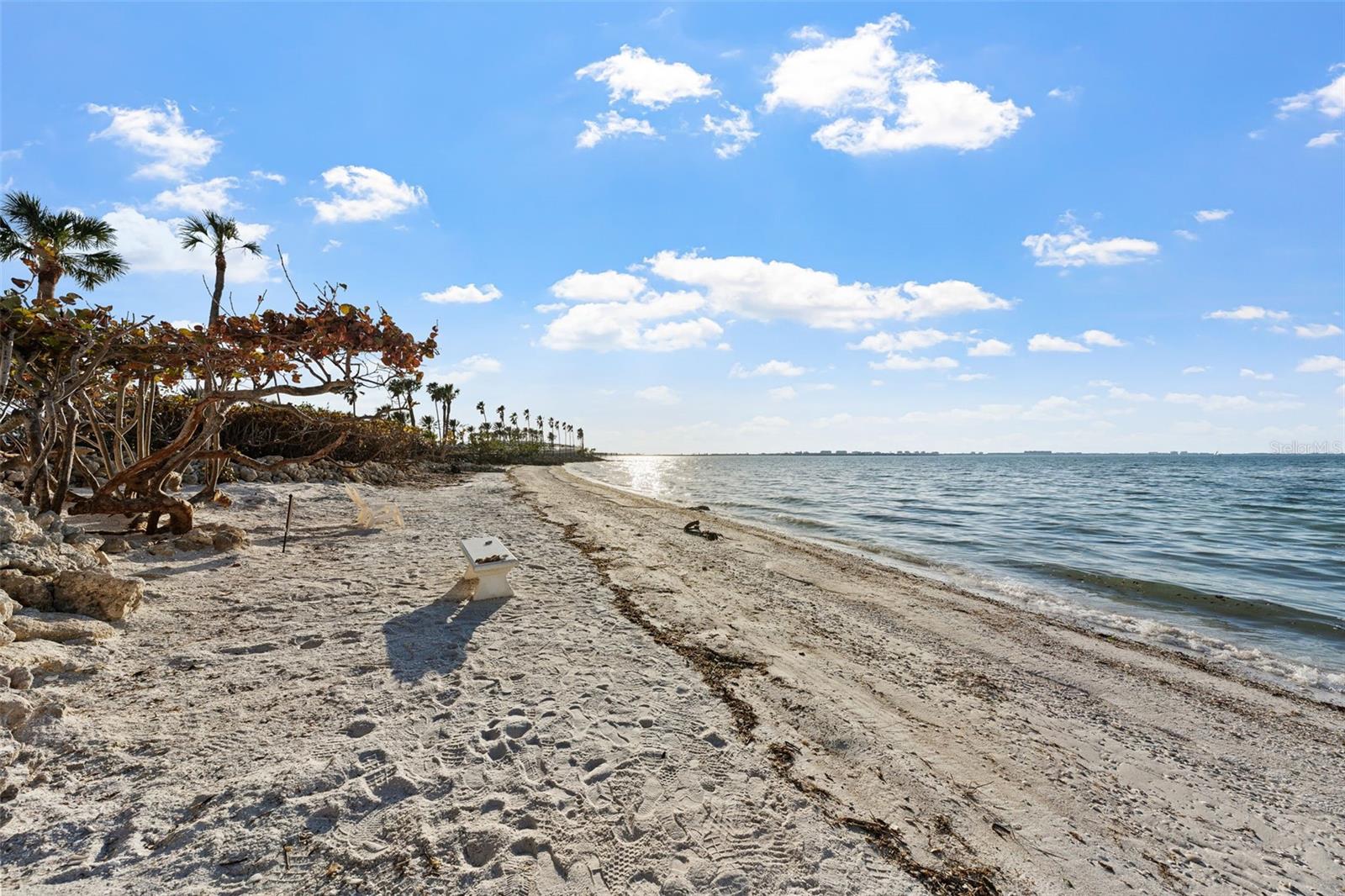 11 SUNSET DR #406, SARASOTA, FL, 34236