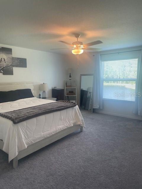 34797 RAINVILLE LOOP, ZEPHYRHILLS, FL, 33541