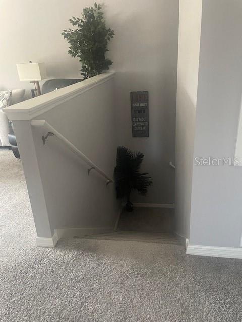 34797 RAINVILLE LOOP, ZEPHYRHILLS, FL, 33541