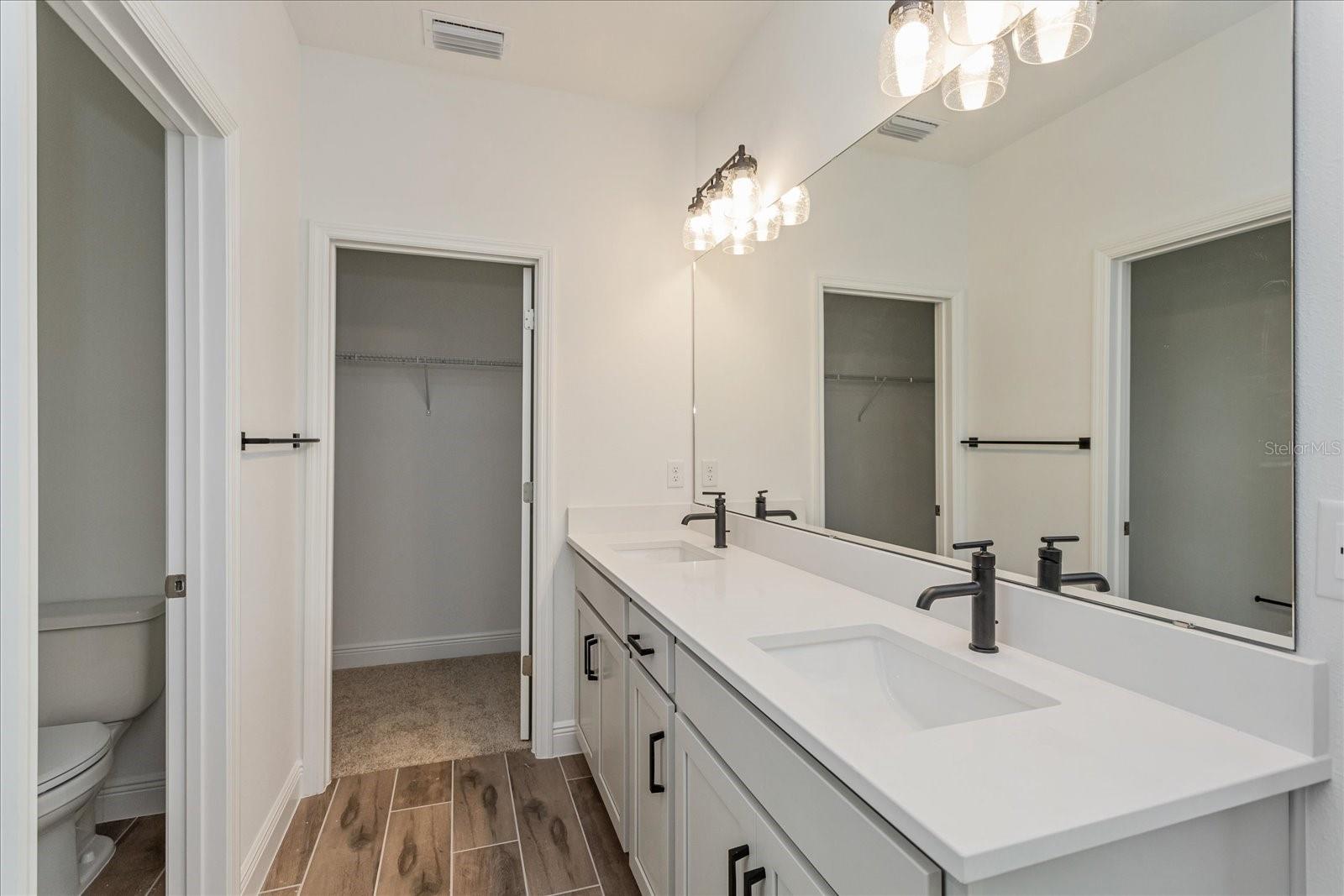 17006 CLEAR MIND ALY, WINTER GARDEN, FL, 34787