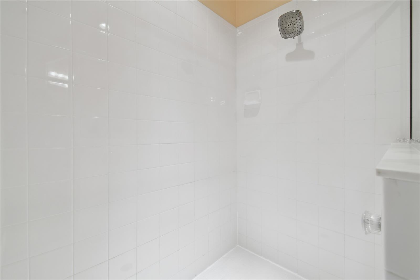 1115 ANDREW AVILES CIR, TAMPA, FL, 33619