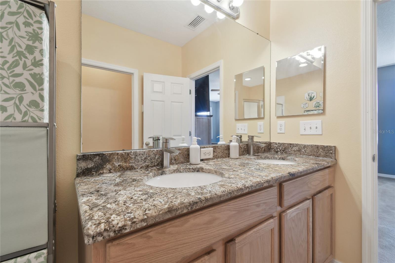 1115 ANDREW AVILES CIR, TAMPA, FL, 33619