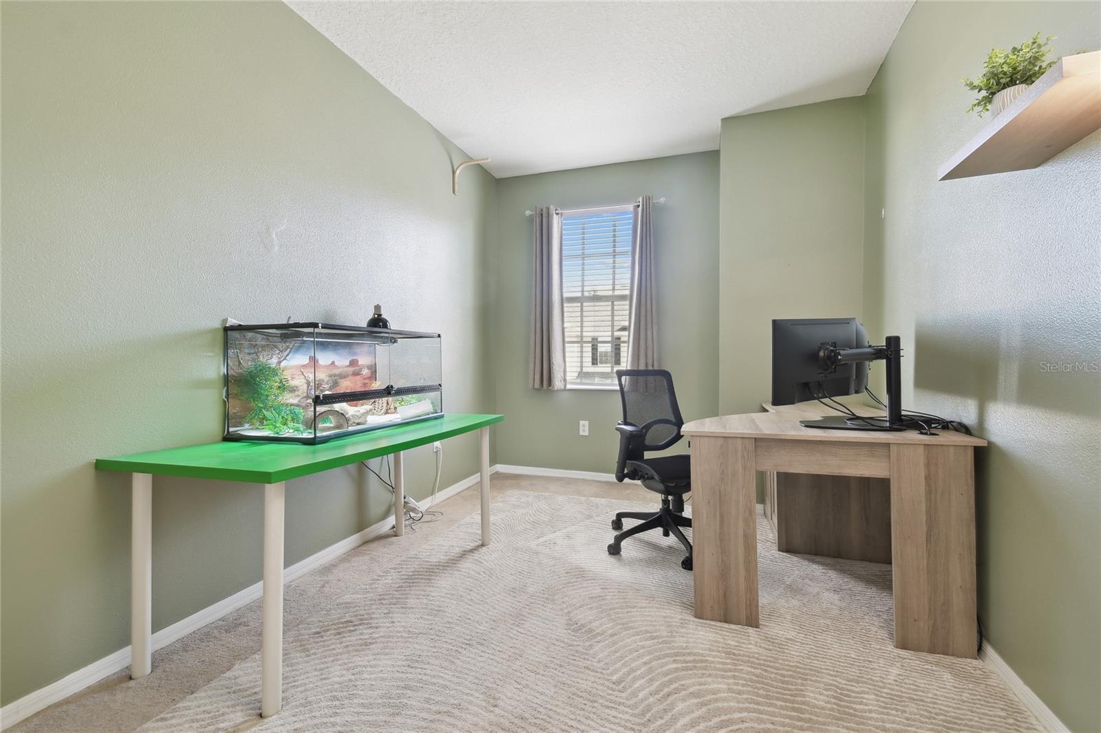 1115 ANDREW AVILES CIR, TAMPA, FL, 33619