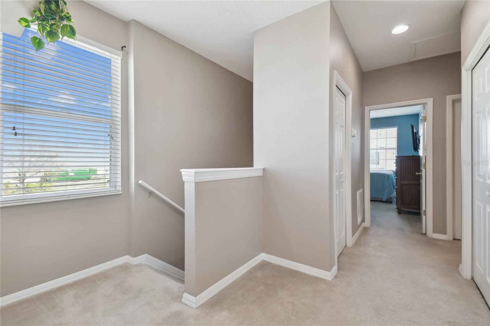 1115 ANDREW AVILES CIR, TAMPA, FL, 33619