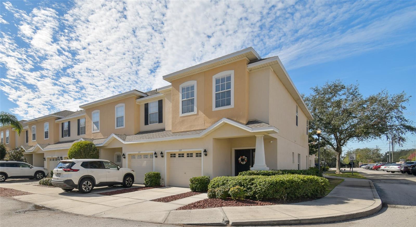 1115 ANDREW AVILES CIR, TAMPA, FL, 33619