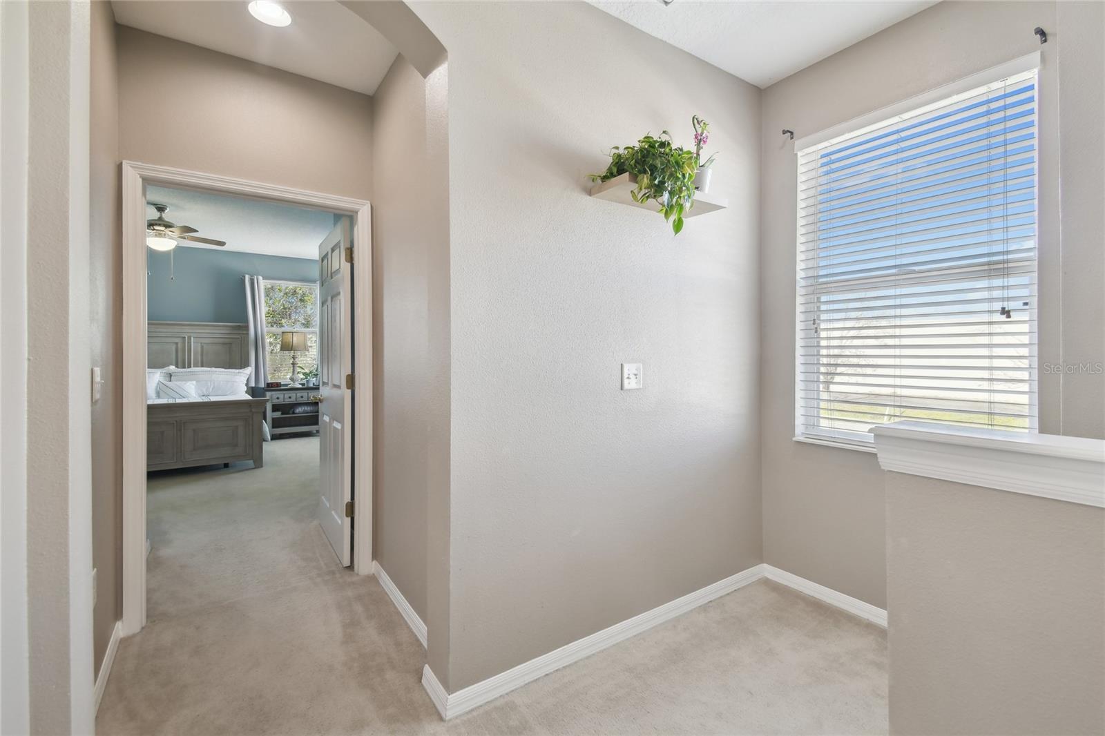 1115 ANDREW AVILES CIR, TAMPA, FL, 33619