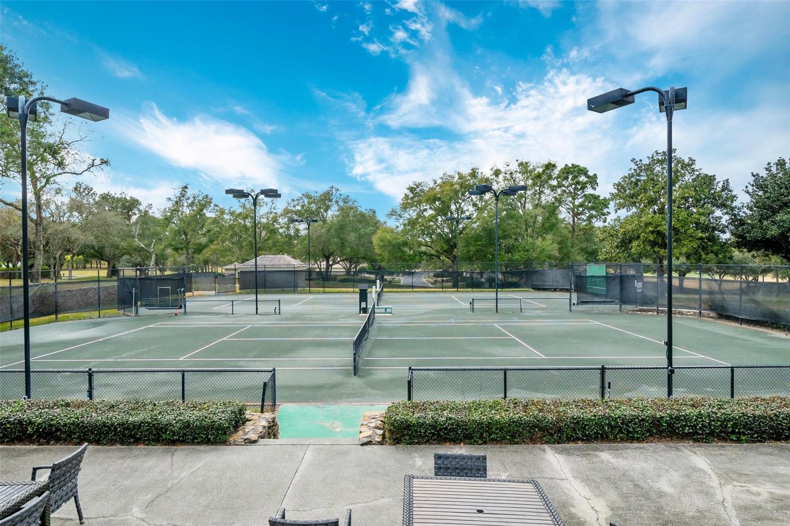 3389 N BENT TREE PT, LECANTO, FL, 34461