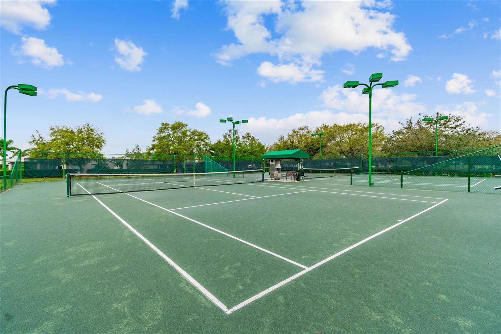 12207 ARRON TER, TRINITY, FL, 34655