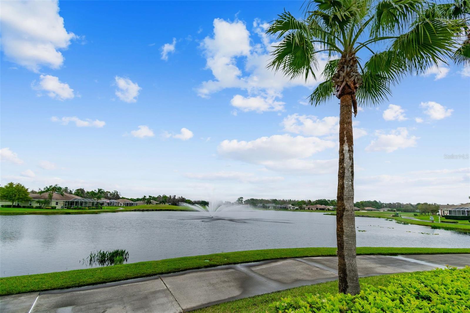 12207 ARRON TER, TRINITY, FL, 34655