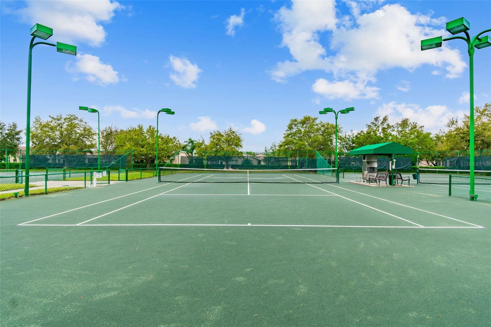 12207 ARRON TER, TRINITY, FL, 34655