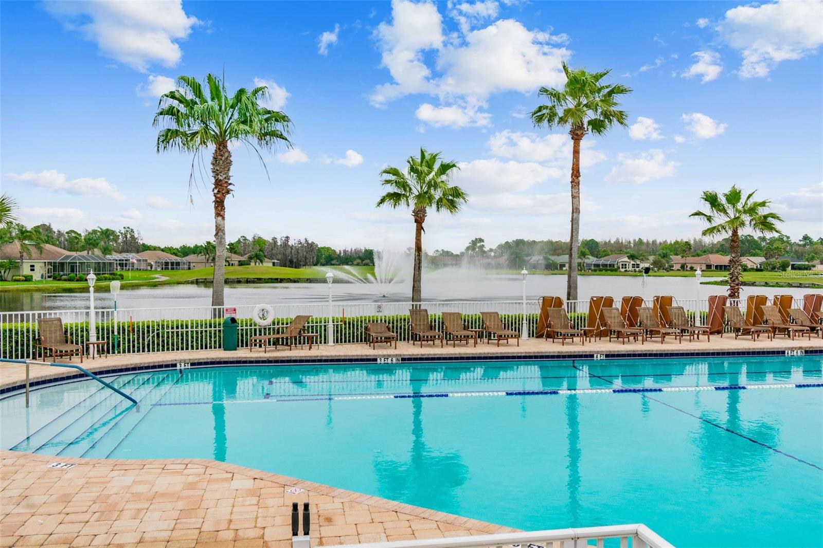 12207 ARRON TER, TRINITY, FL, 34655