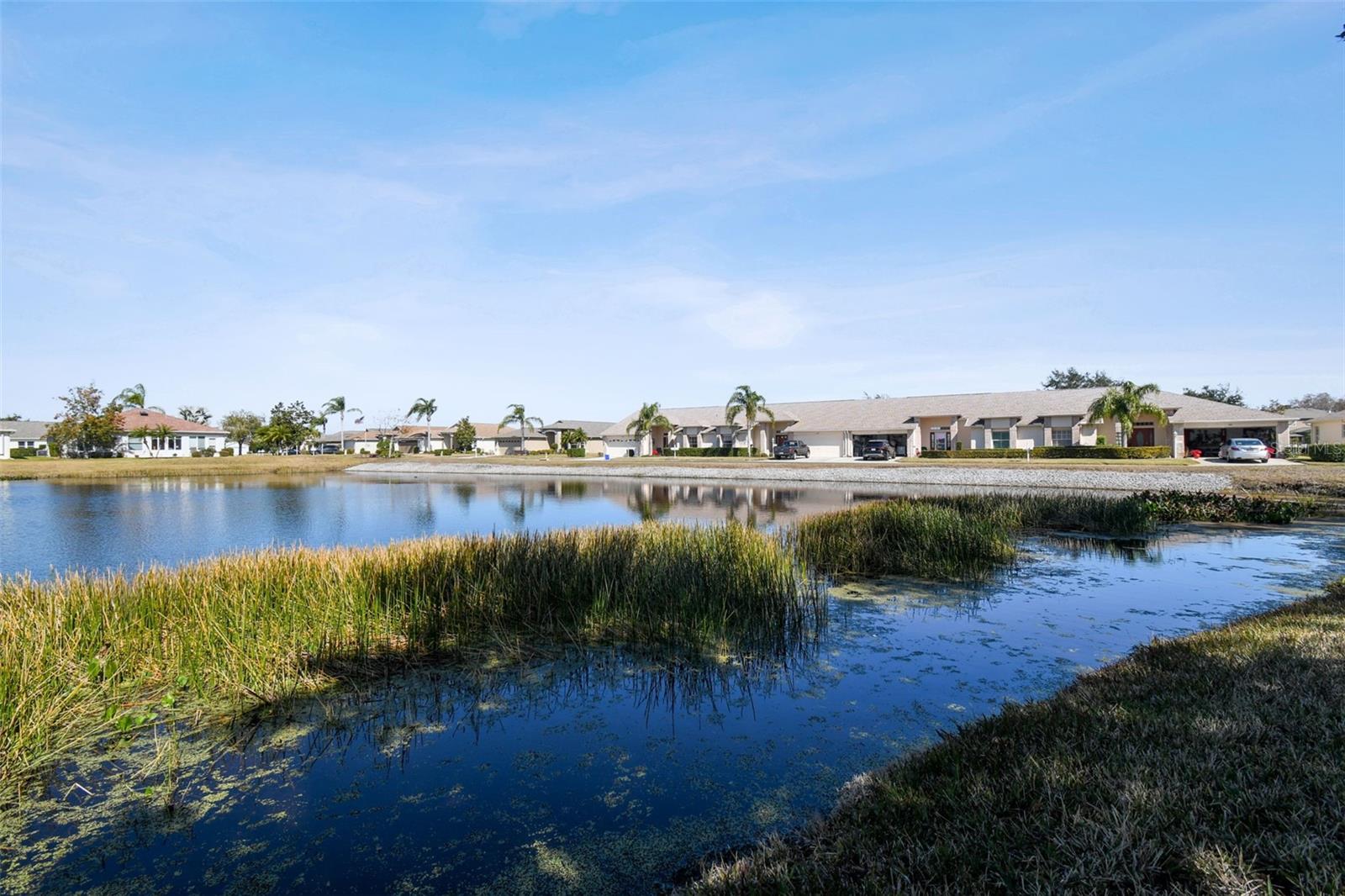 12207 ARRON TER, TRINITY, FL, 34655