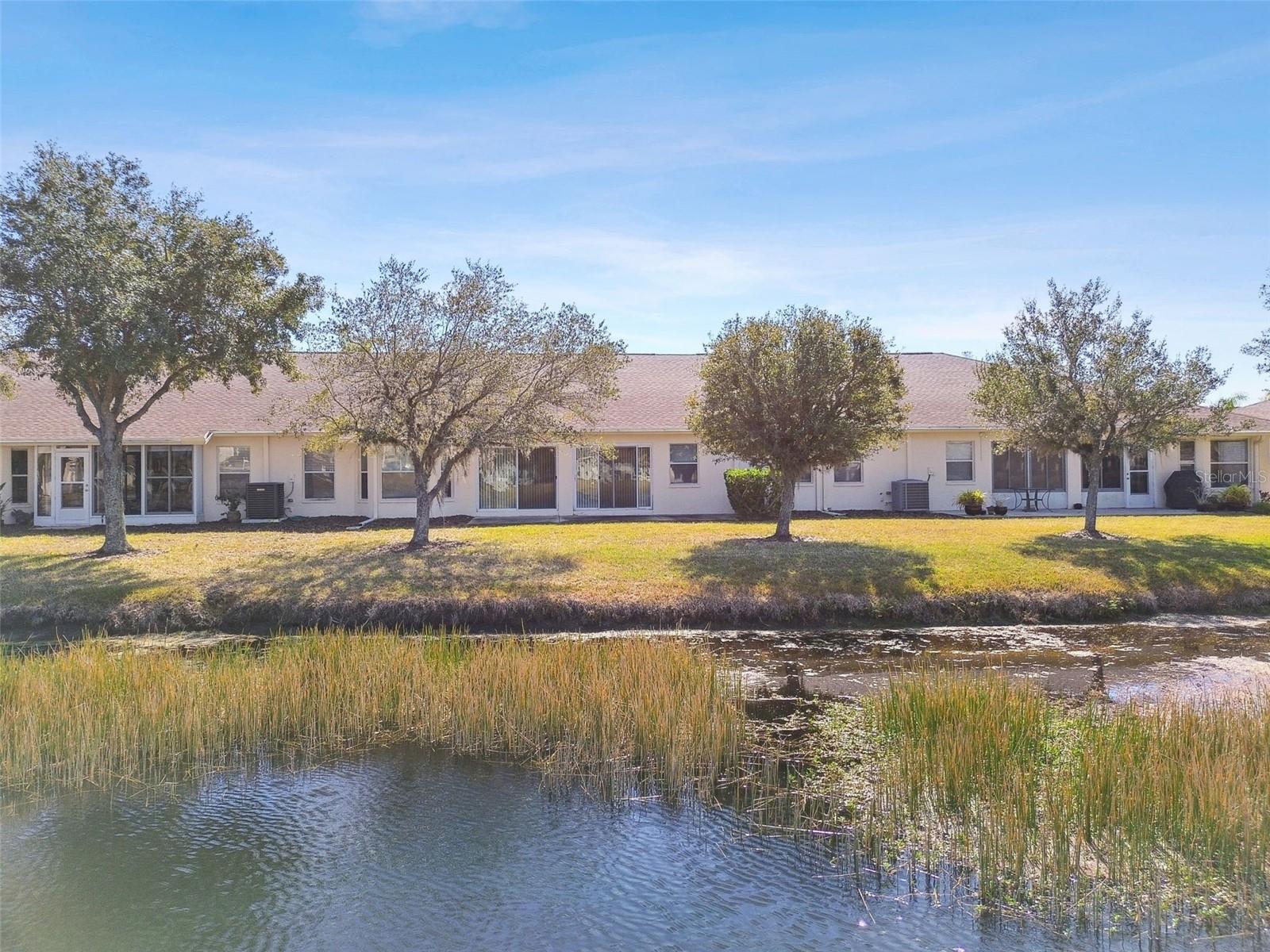 12207 ARRON TER, TRINITY, FL, 34655