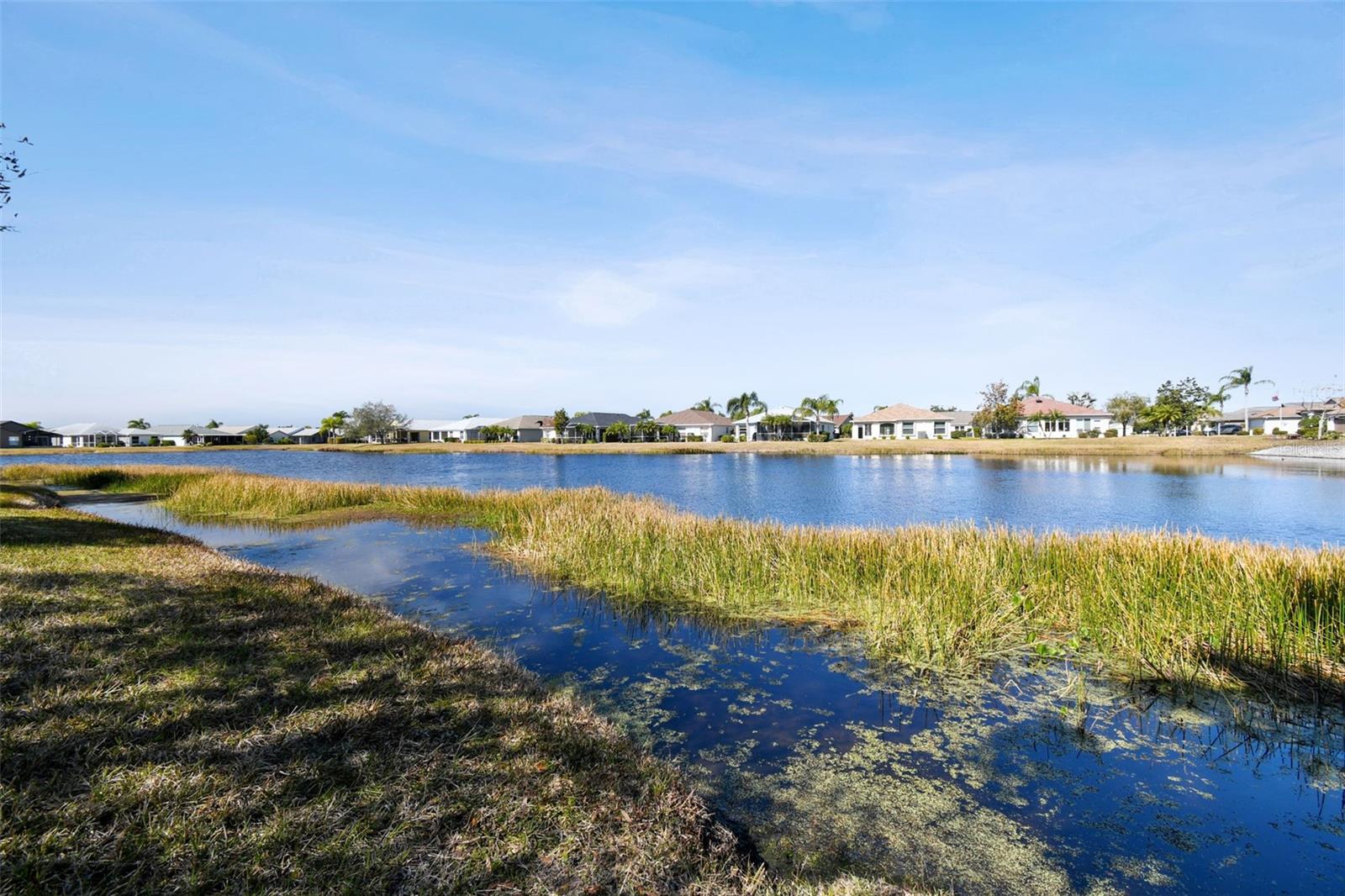 12207 ARRON TER, TRINITY, FL, 34655