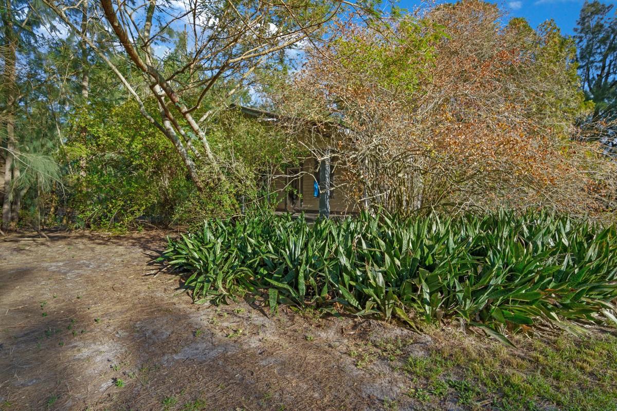 12155 S US HIGHWAY 41, GIBSONTON, FL, 33534