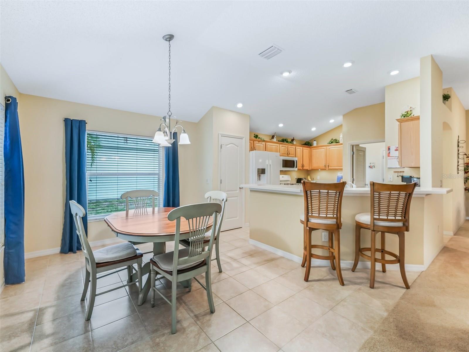 16814 SE 80TH BELLAVISTA CIR, THE VILLAGES, FL, 32162