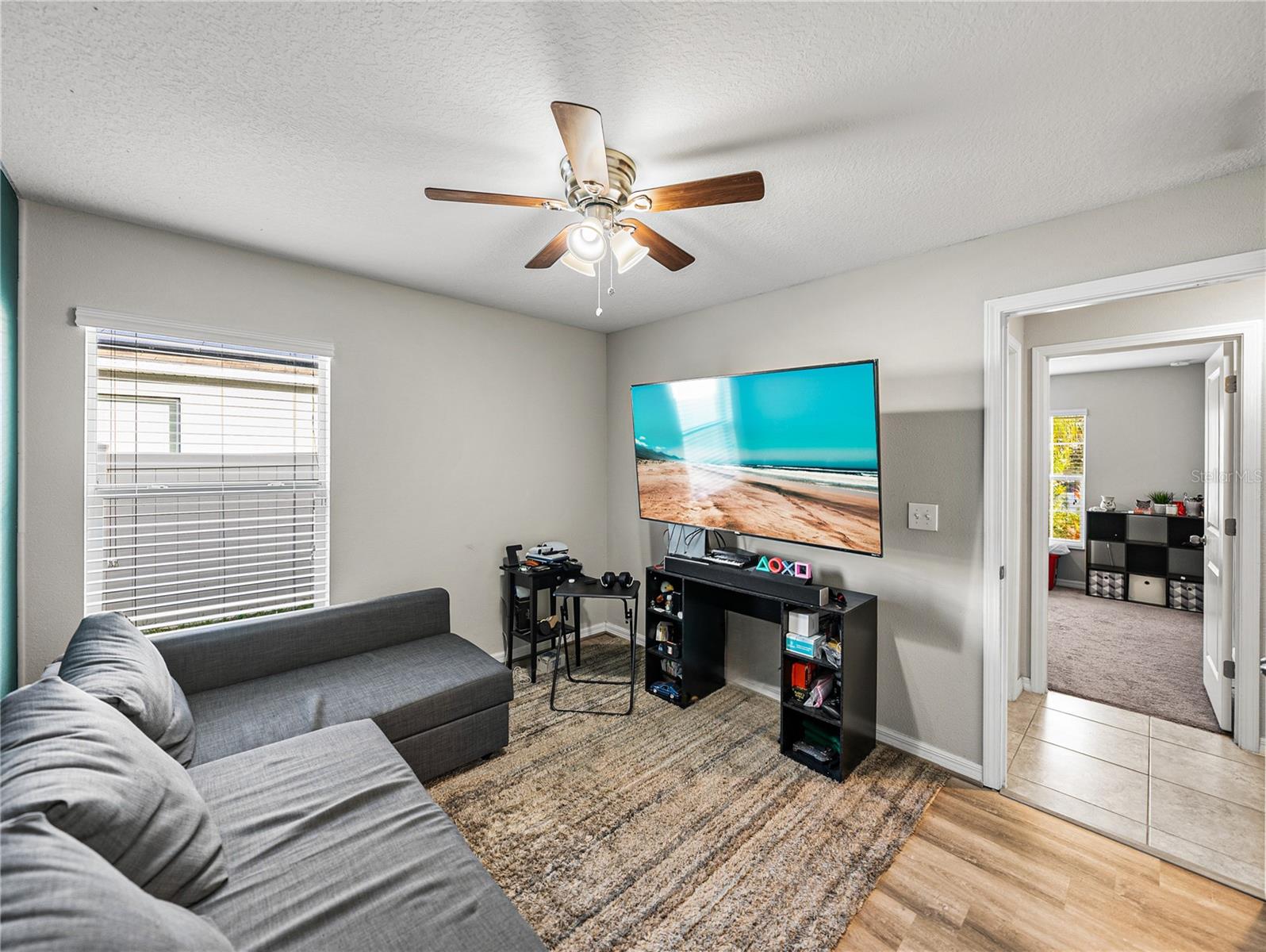 10511 FUZZY CATTAIL ST, RIVERVIEW, FL, 33578