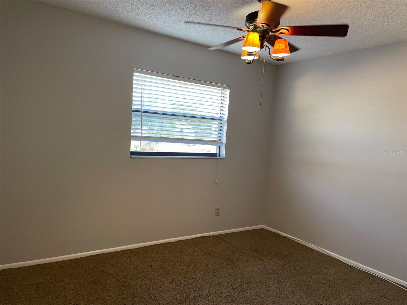 105 SOMERSET LN #3, PALM HARBOR, FL, 34684
