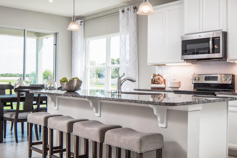 2463 WHITE LADYFISH RD, WIMAUMA, FL, 33598