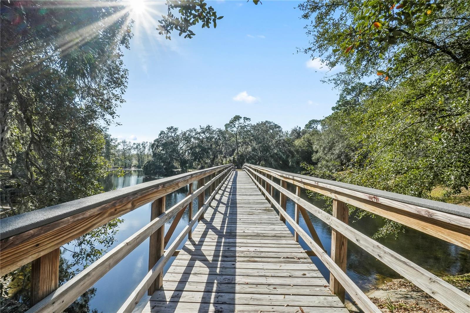 6003 LAKETREE LN #L, TEMPLE TERRACE, FL, 33617
