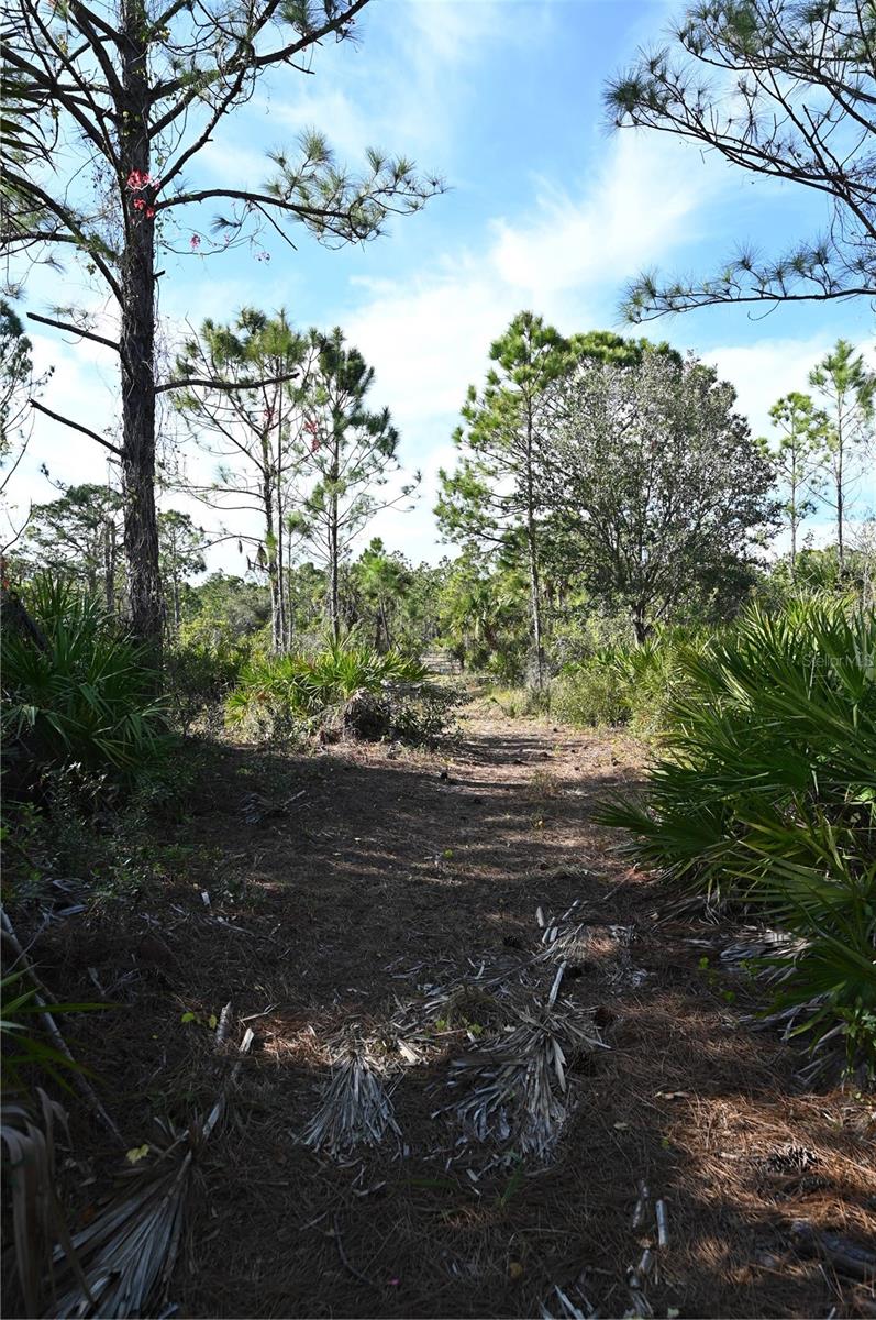 TOLEDO RD, NORTH PORT, FL, 34287