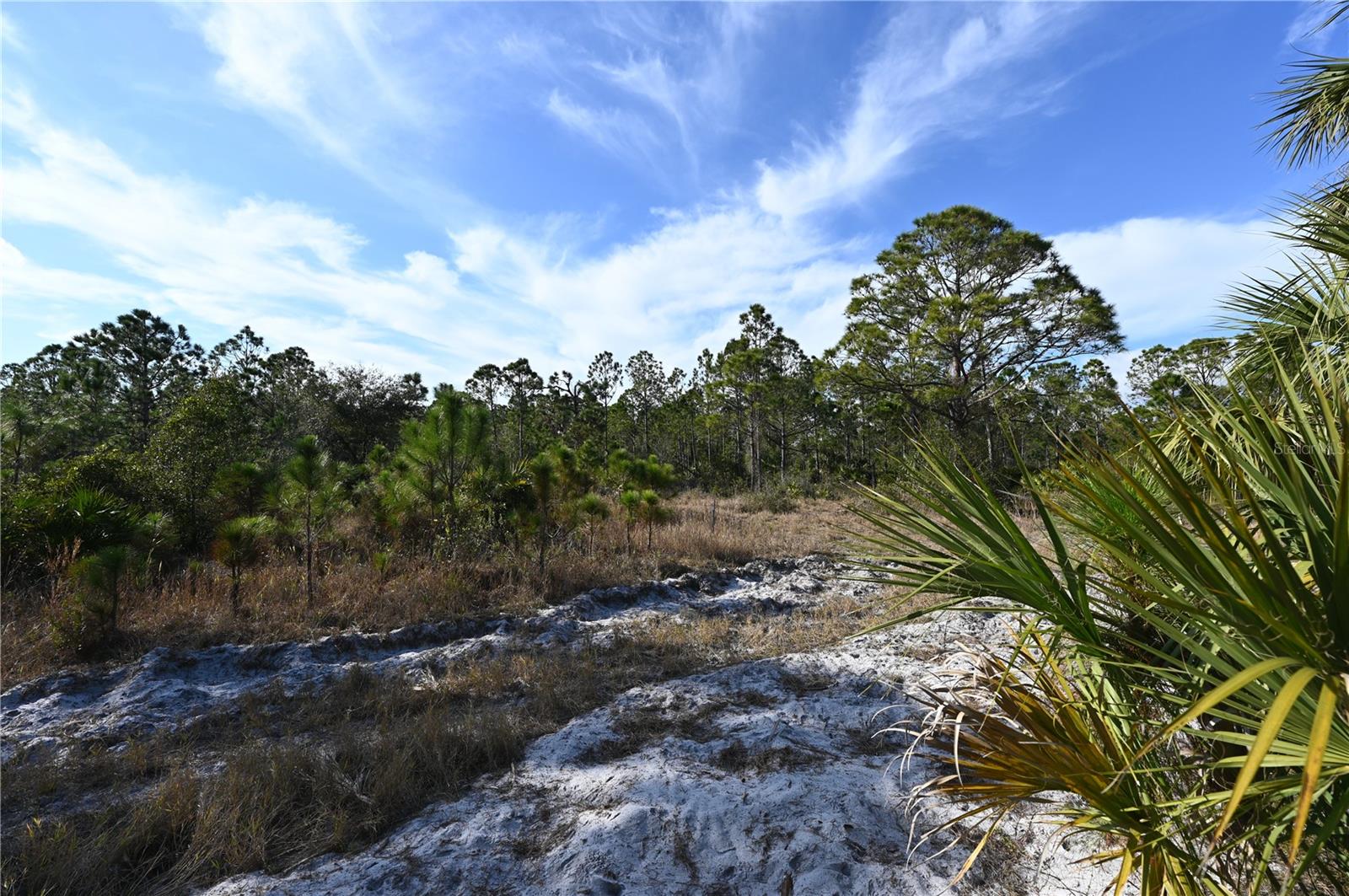 TOLEDO RD, NORTH PORT, FL, 34287