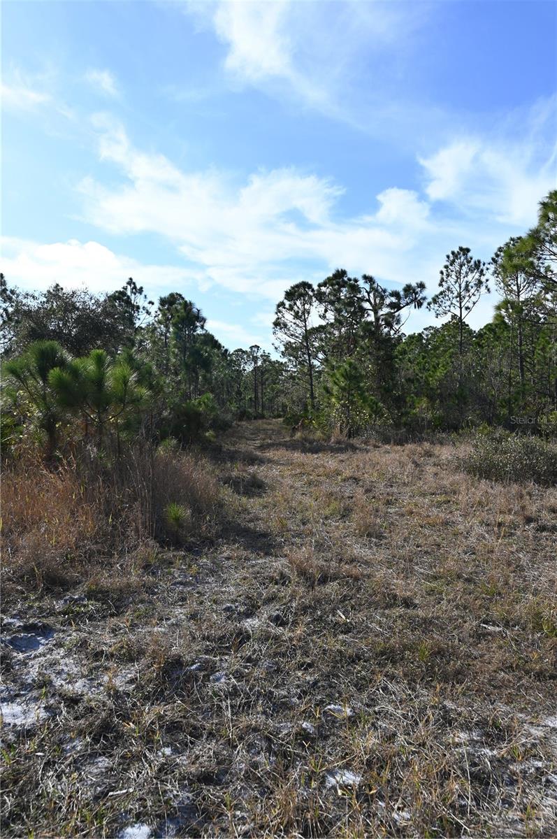 TOLEDO RD, NORTH PORT, FL, 34287