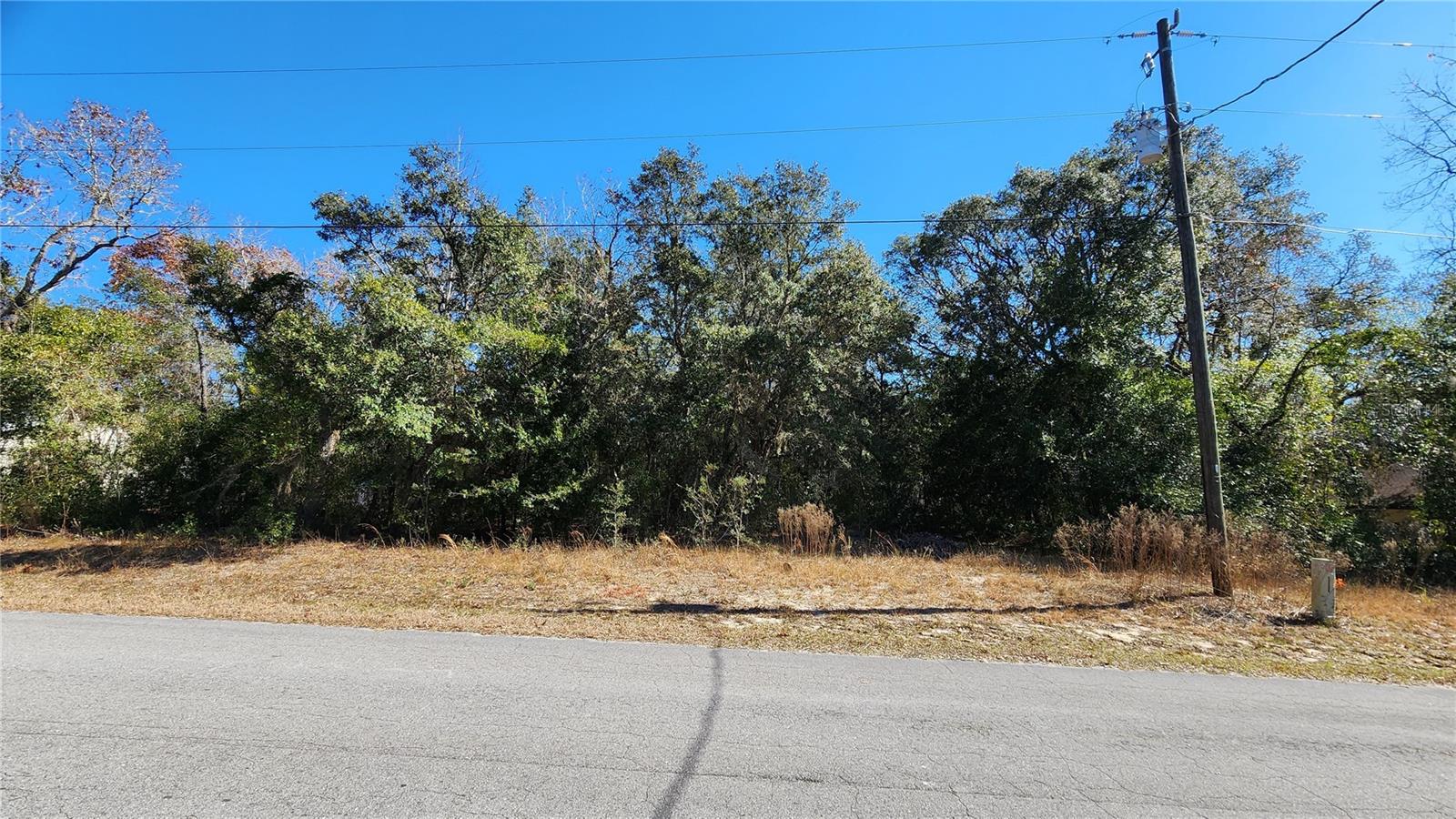 47 N FITZPATRICK AVE, INVERNESS, FL, 34450