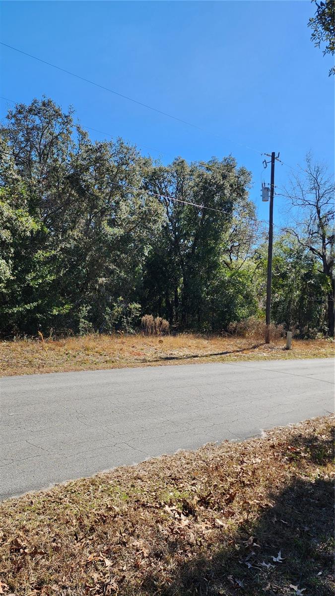47 N FITZPATRICK AVE, INVERNESS, FL, 34450