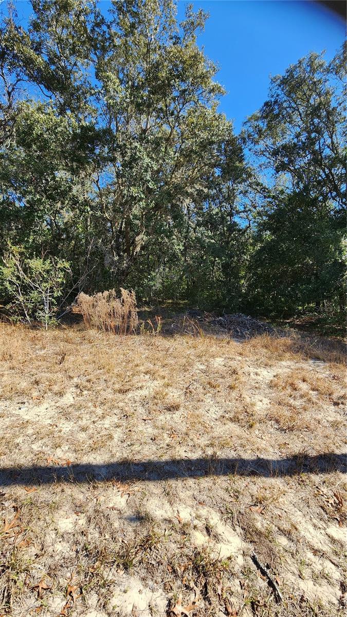 47 N FITZPATRICK AVE, INVERNESS, FL, 34450