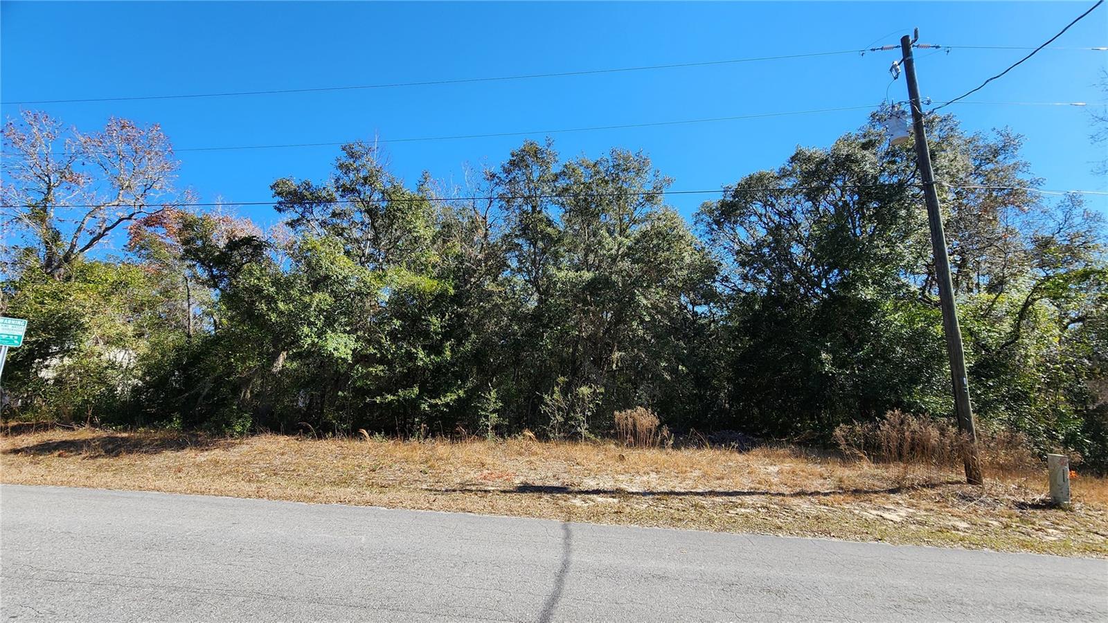47 N FITZPATRICK AVE, INVERNESS, FL, 34450