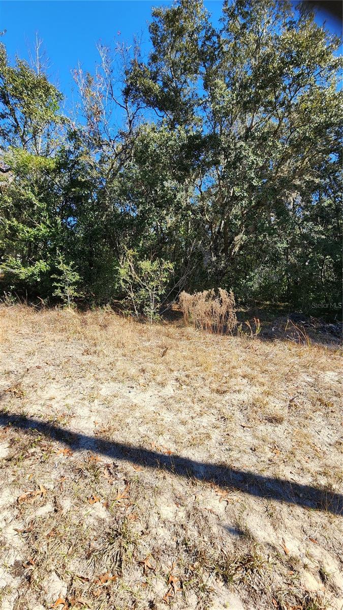 47 N FITZPATRICK AVE, INVERNESS, FL, 34450
