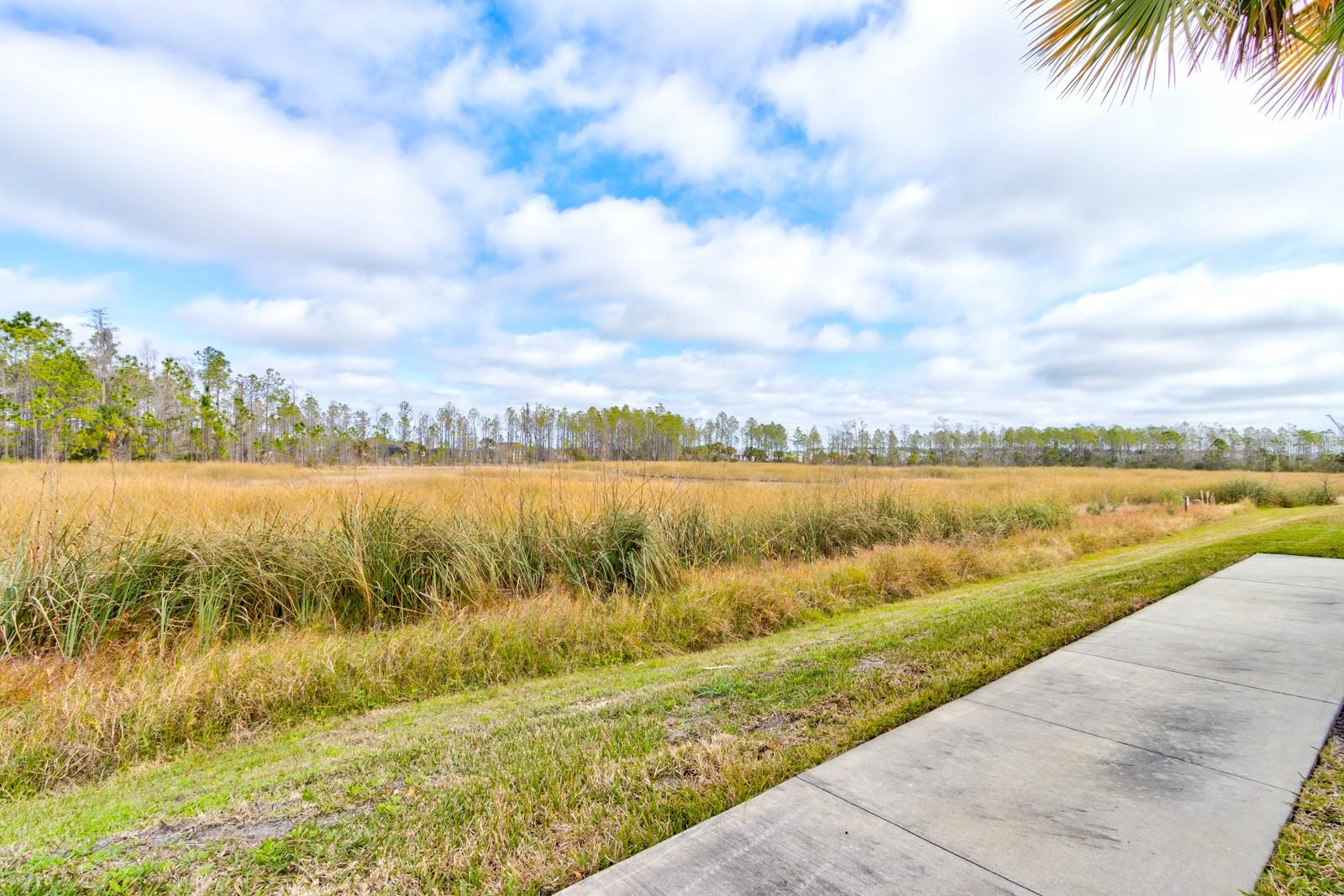 421 HIGH TIDE LN, DAYTONA BEACH, FL, 32124