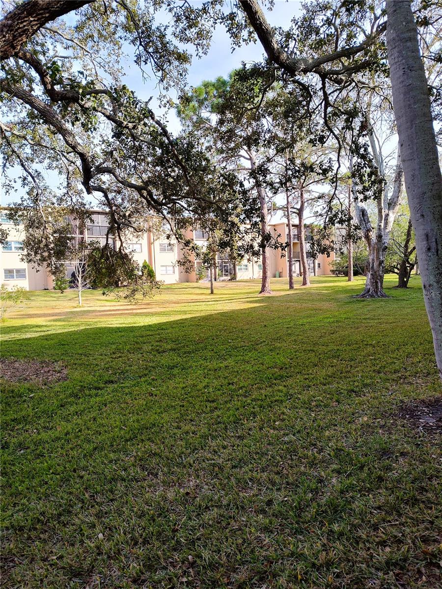 1375 DOOLITTLE LN #101, DUNEDIN, FL, 34698