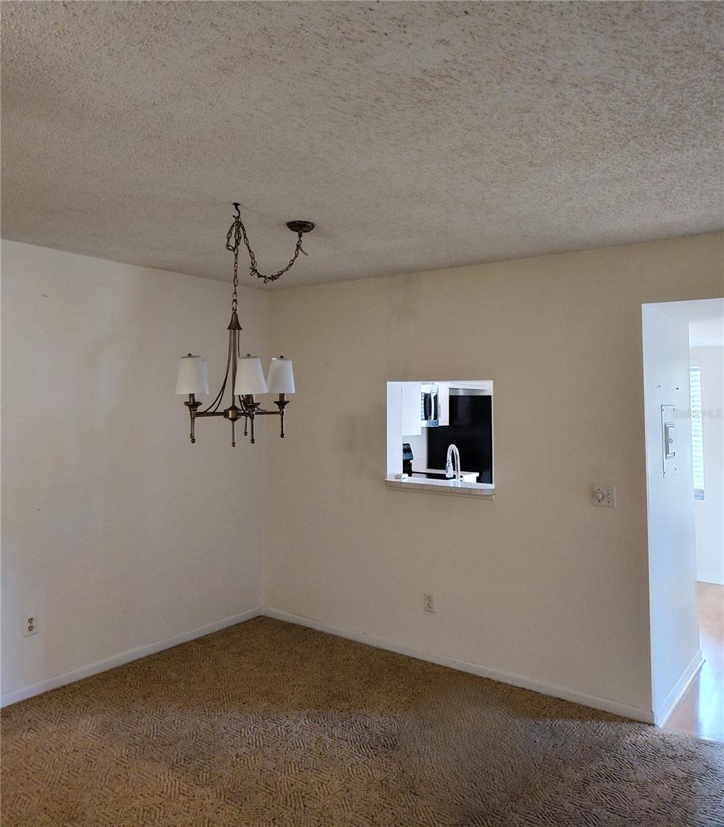 1375 DOOLITTLE LN #101, DUNEDIN, FL, 34698