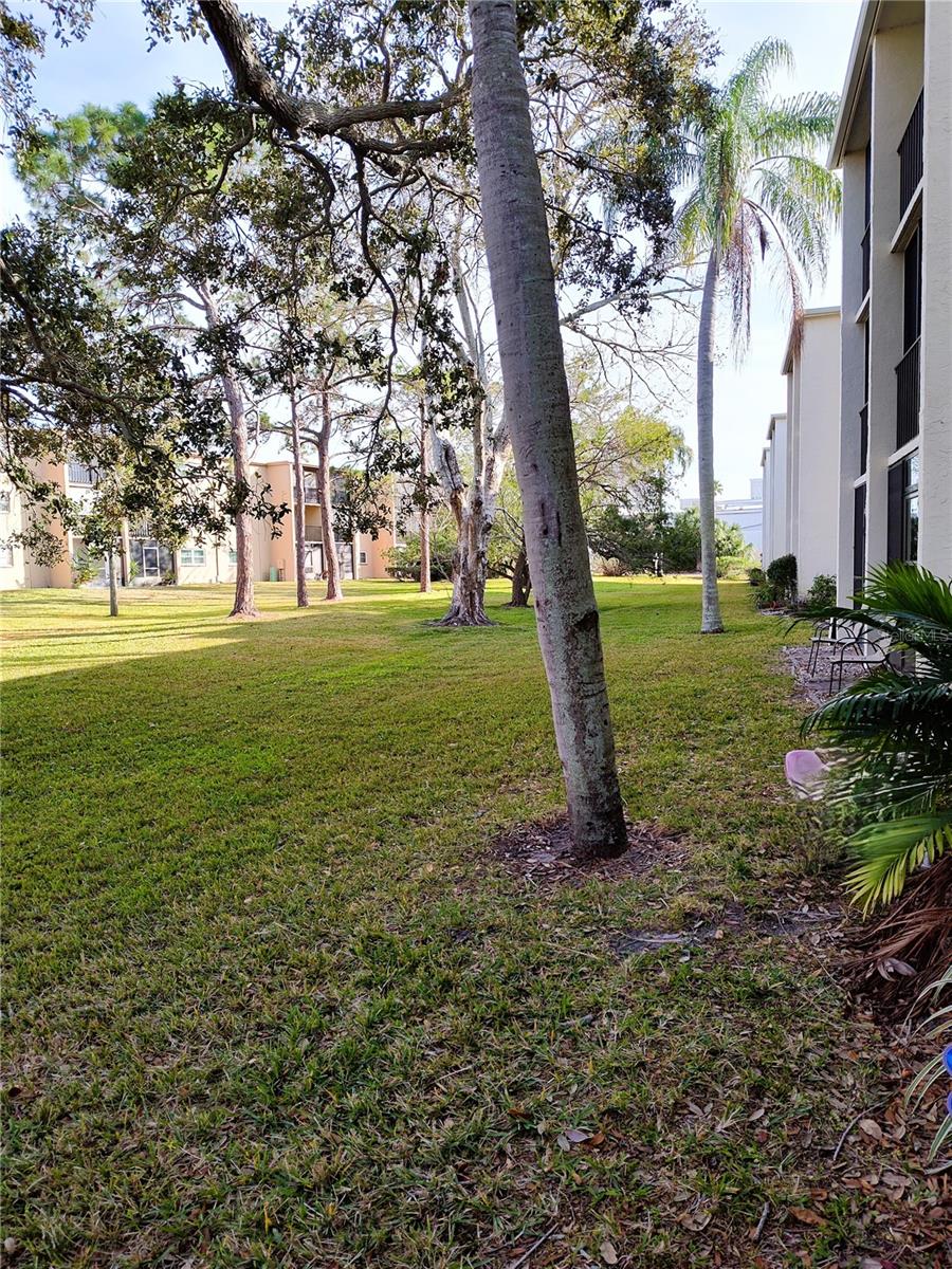 1375 DOOLITTLE LN #101, DUNEDIN, FL, 34698