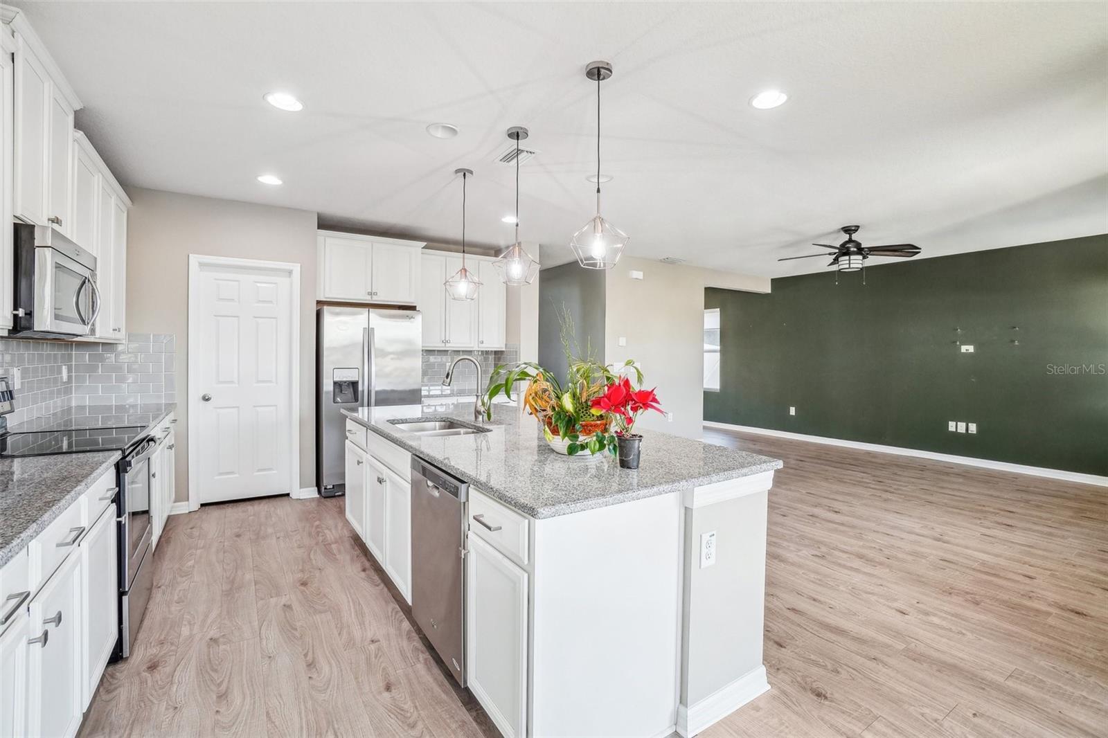 19738 LONG LAKE RANCH BLVD, LUTZ, FL, 33558
