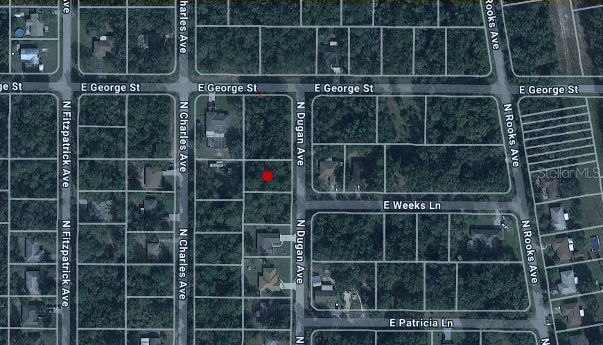 824 N DUGAN AVE, INVERNESS, FL, 34453