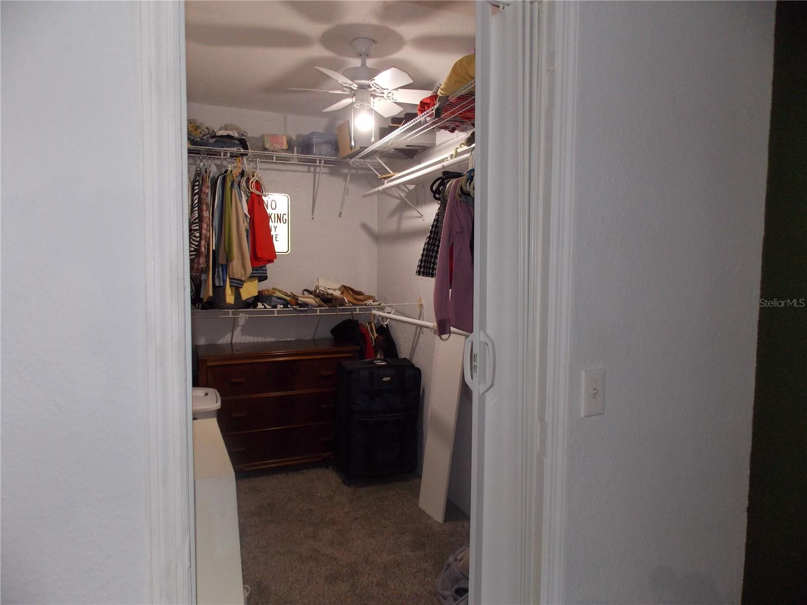 2046 WINDING OAKS DR, PALM HARBOR, FL, 34683