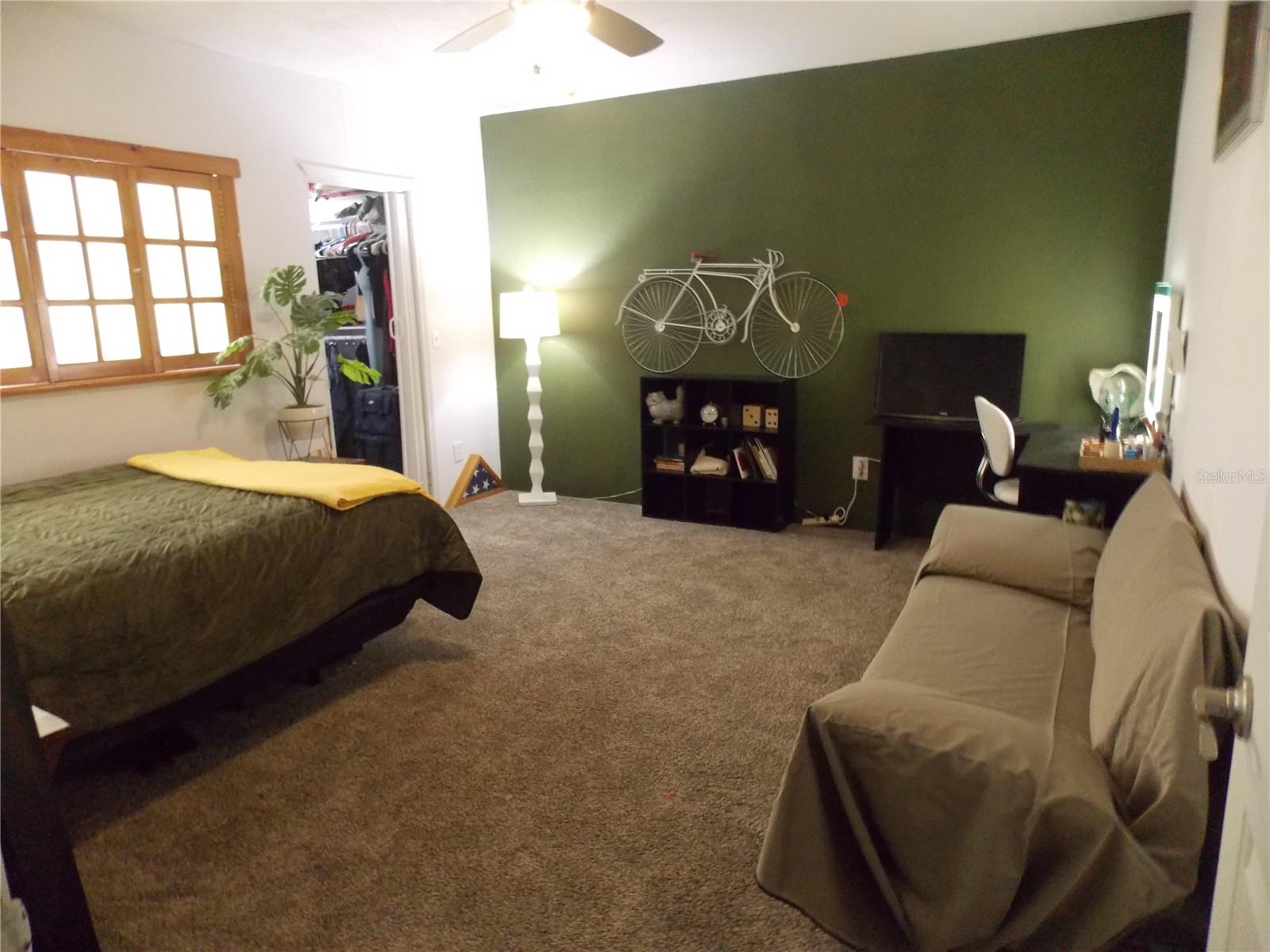 2046 WINDING OAKS DR, PALM HARBOR, FL, 34683