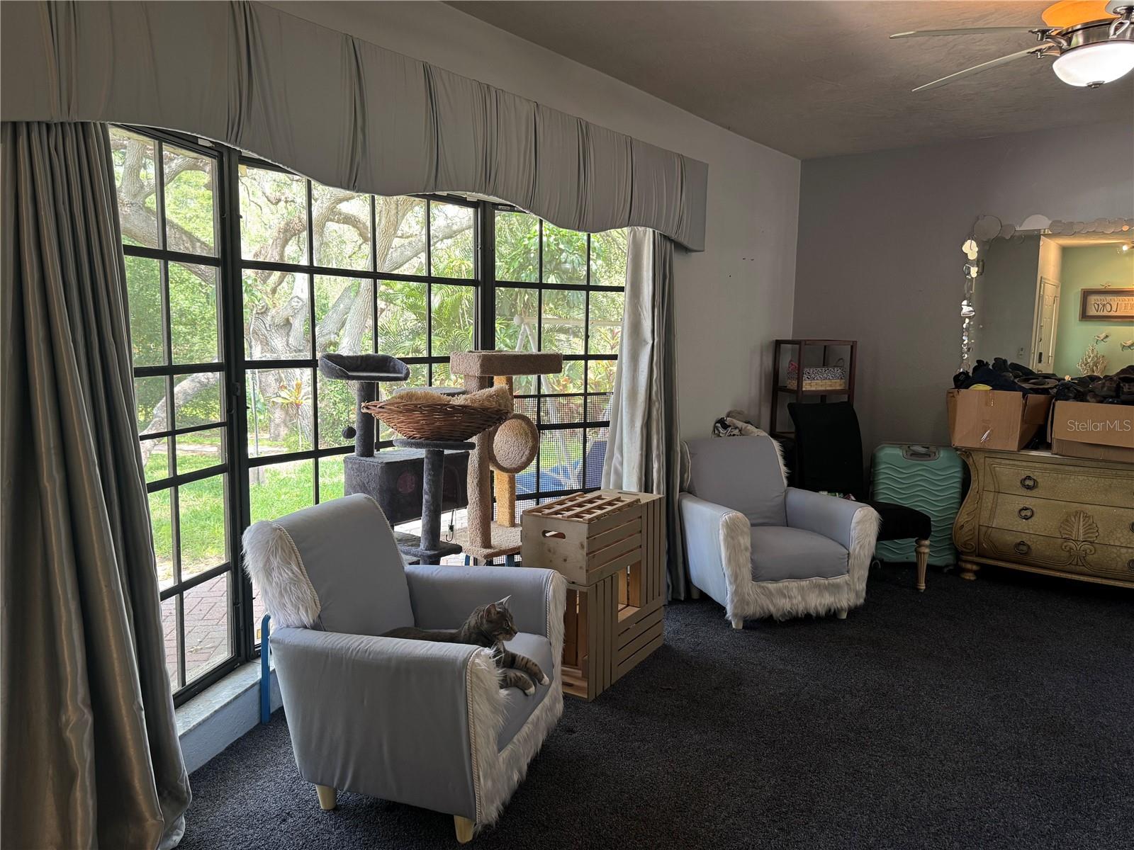 2046 WINDING OAKS DR, PALM HARBOR, FL, 34683