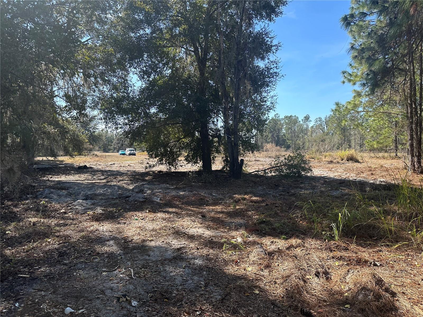 8164 LAKE NELLIE RD, CLERMONT, FL, 34714