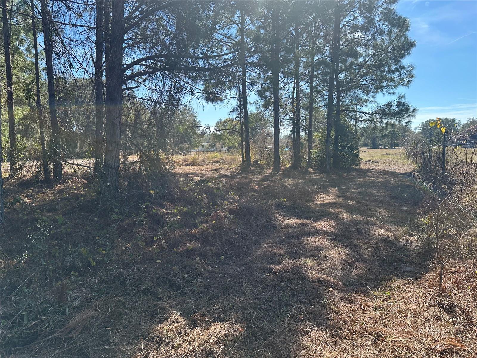 8164 LAKE NELLIE RD, CLERMONT, FL, 34714