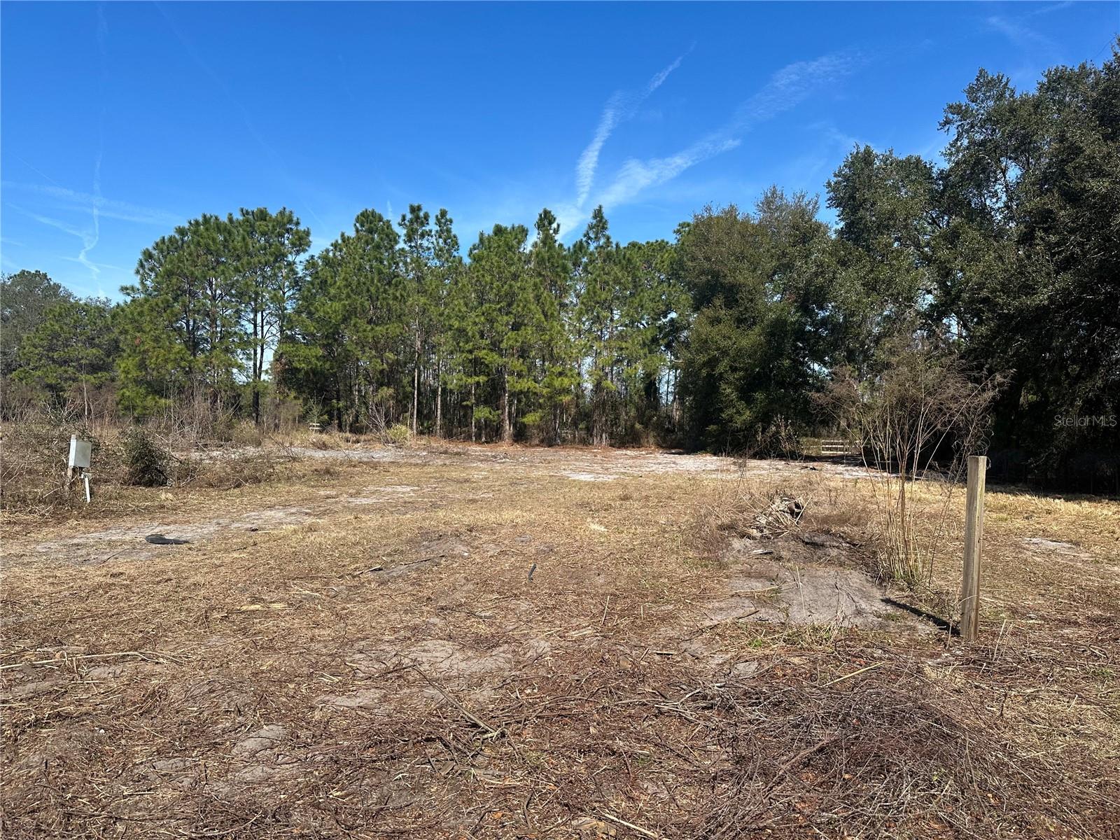 8164 LAKE NELLIE RD, CLERMONT, FL, 34714