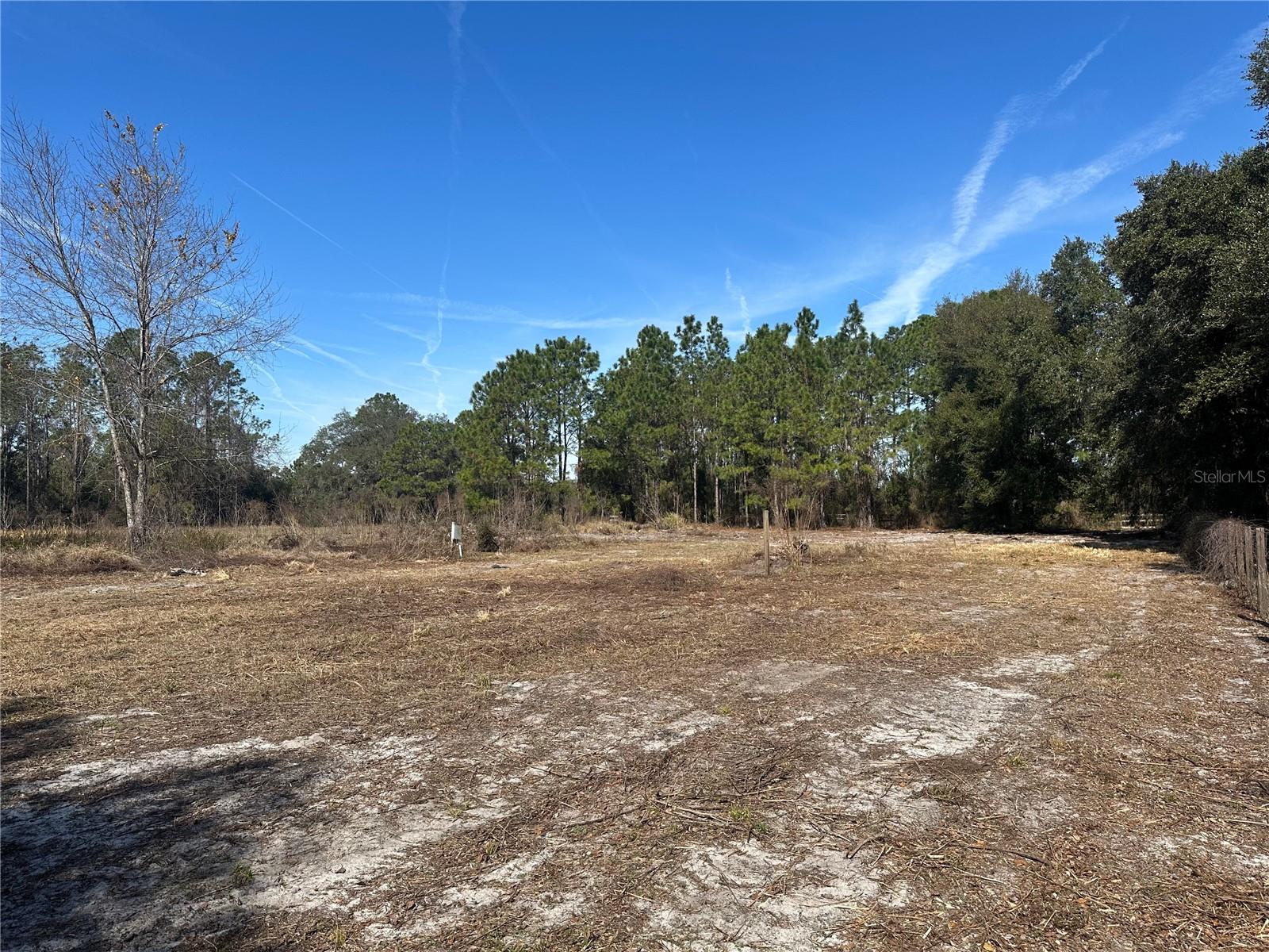 8164 LAKE NELLIE RD, CLERMONT, FL, 34714