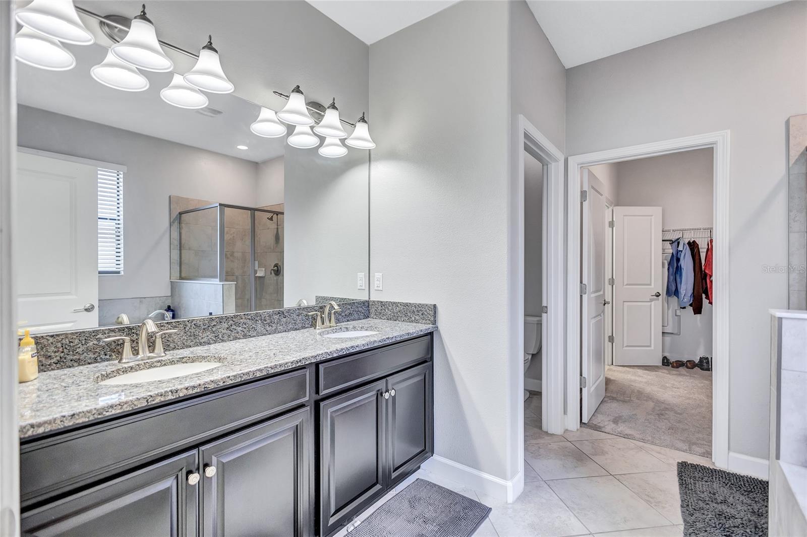10916 GREAT CORMORANT DR, RIVERVIEW, FL, 33579