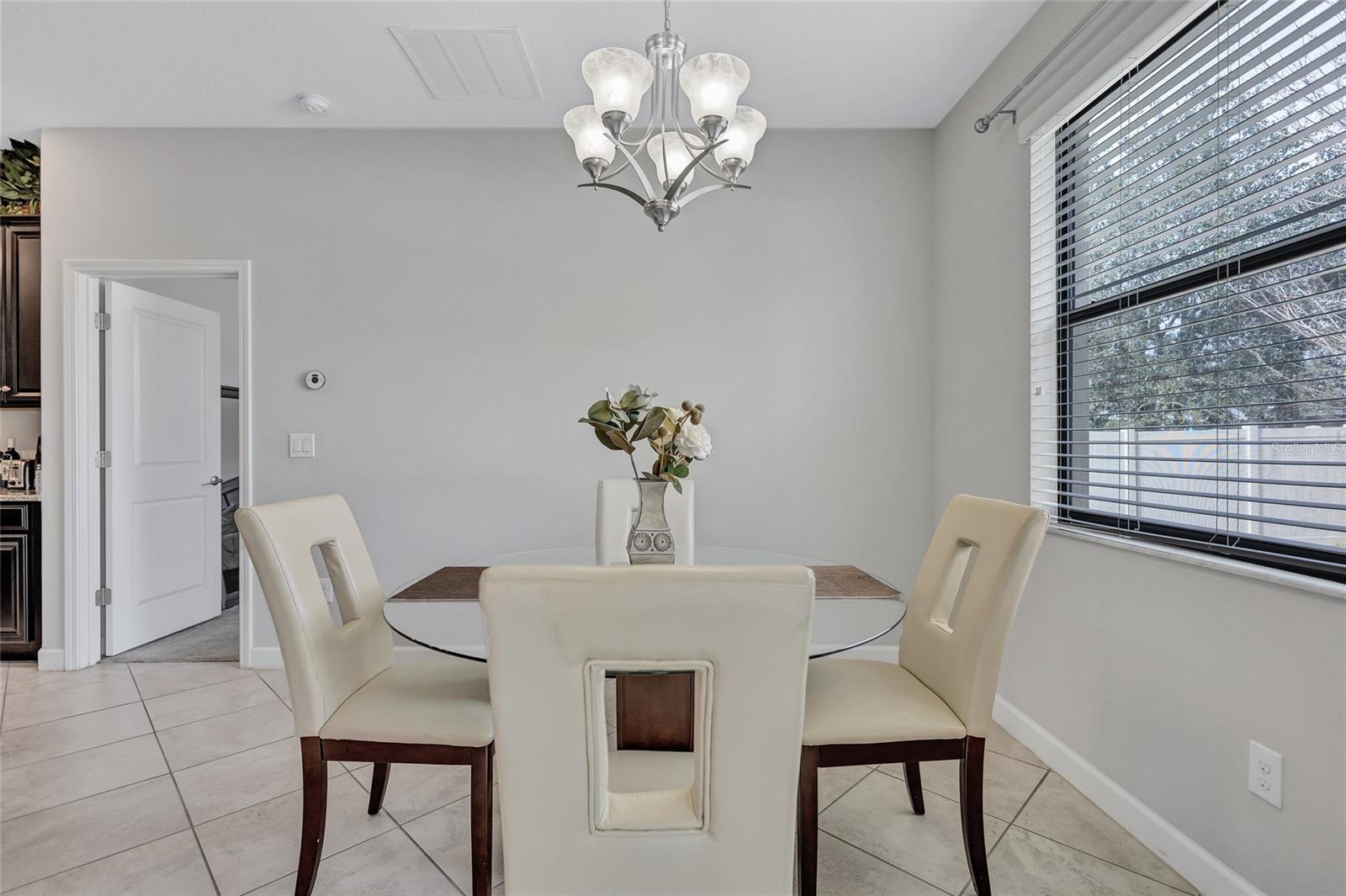 10916 GREAT CORMORANT DR, RIVERVIEW, FL, 33579